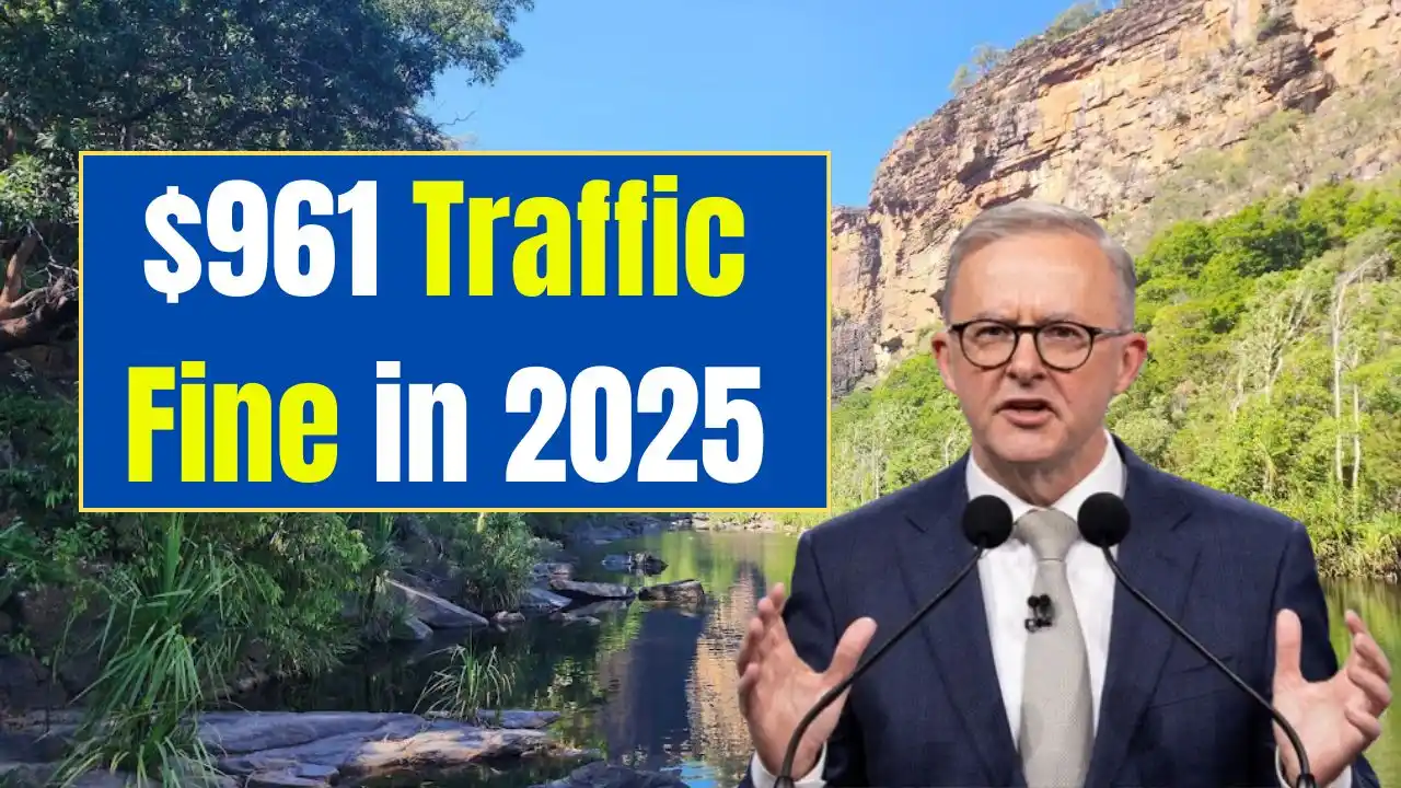 961 Traffic Fine in 2025